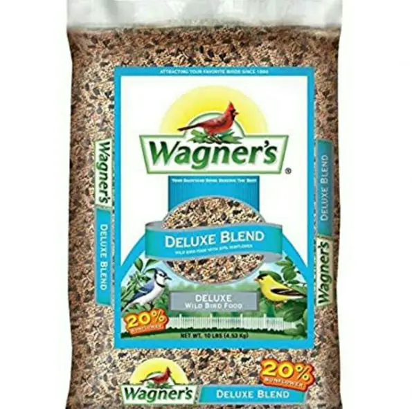 10 Best Bird Seeds in 2021 BIrding Frontiers